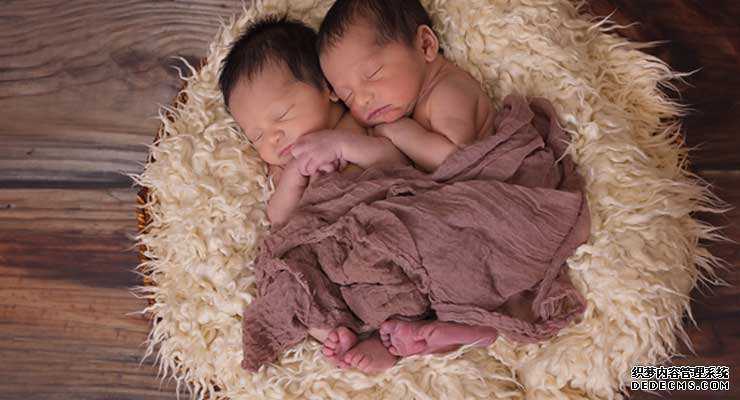 有偿捐卵_捐卵_试管婴儿双胞胎率高是因为胚胎数量多?