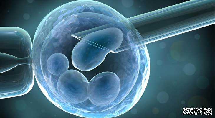 捐卵有影响_真相探索：试管婴儿移植后胚胎会流出来吗 是更有助于怀孕吗