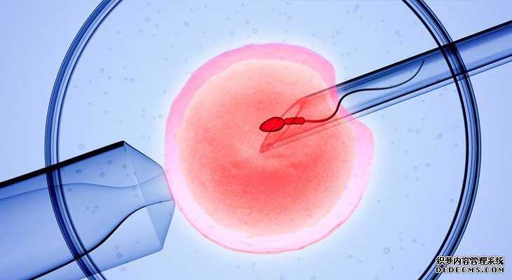 捐卵有影响_真相探索：试管婴儿移植后胚胎会流出来吗 是更有助于怀孕吗