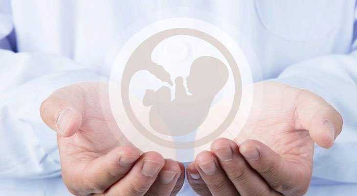 捐卵降调_拉拉试管婴儿攻略|比利时IUI/IVF政策、流程
