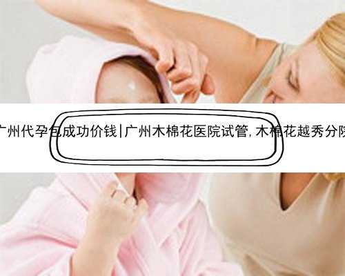 广州代孕包成功价钱|广州木棉花医院试管,木棉花越秀