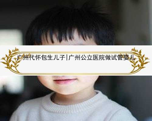 广州代怀包生儿子|广州公立医院做试管婴儿